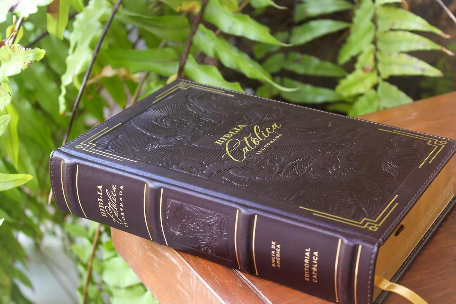 Biblia Católica Ilustrada - Illustrated Catholic Bible: Spanish Edition - Image 3