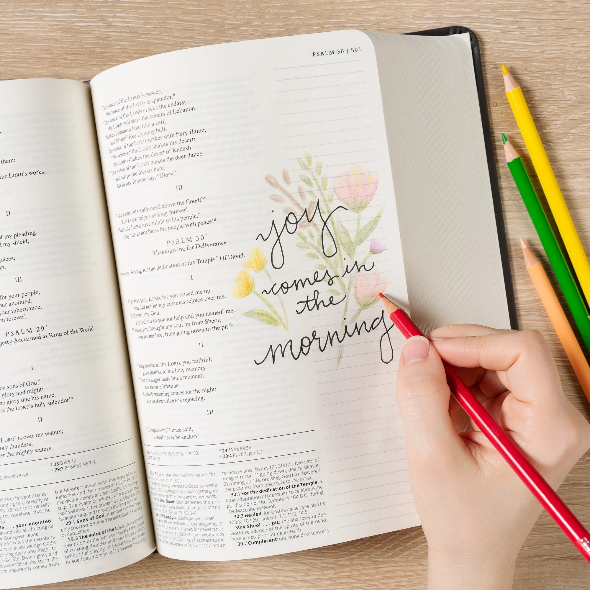 Catholic Notetaking/Journaling Bible (NABRE) - Image 4