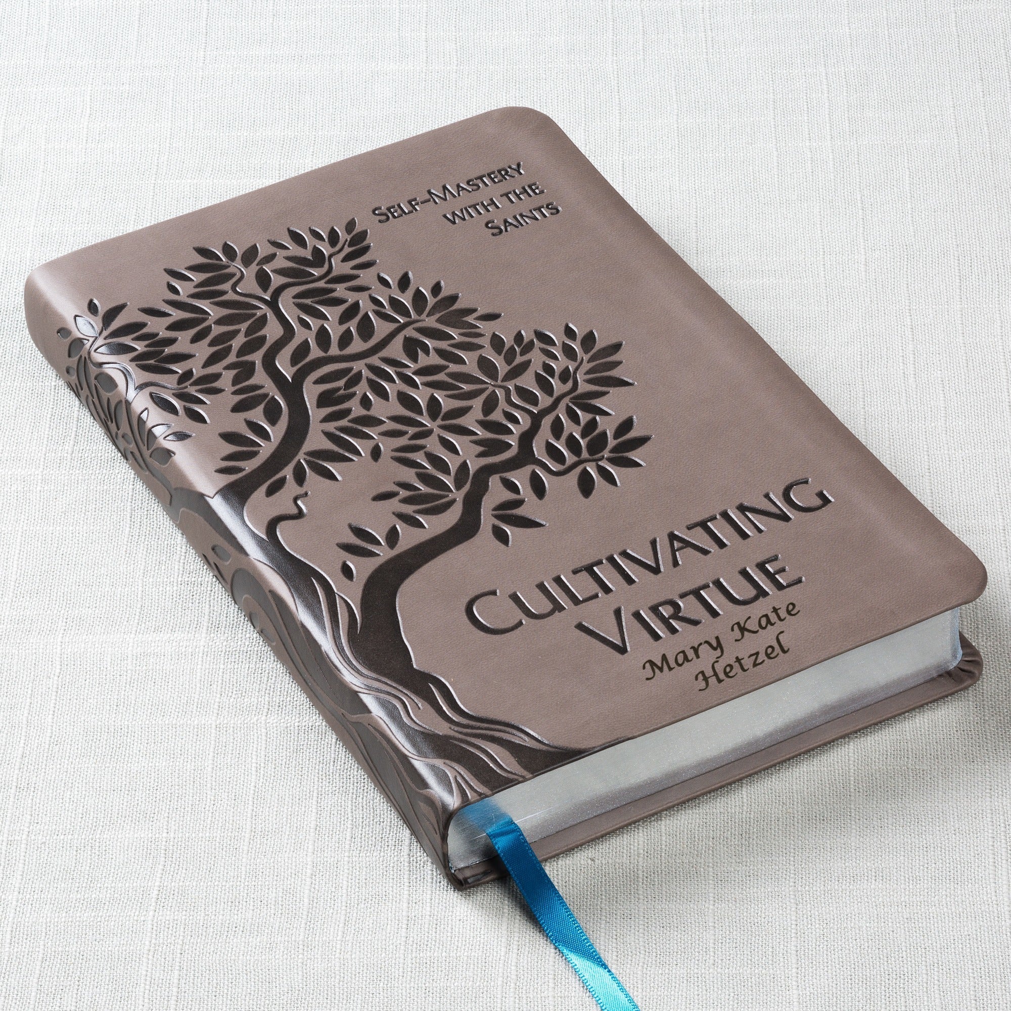 Cultivating Virtue: Self-Mastery With the Saints - Image 3