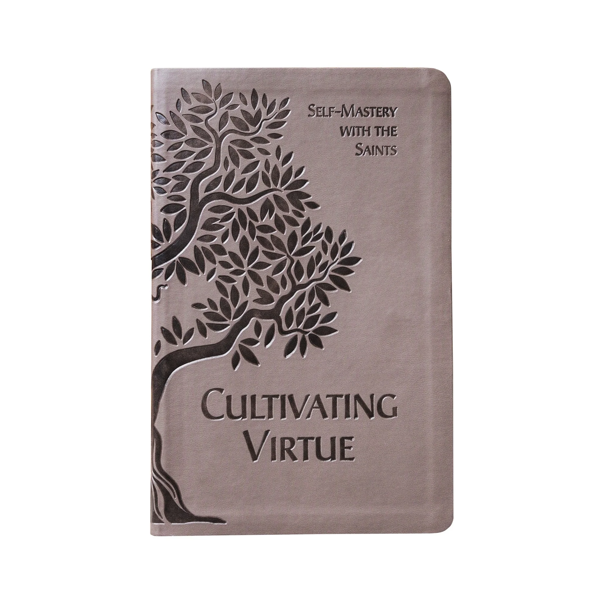 Cultivating Virtue: Self-Mastery With the Saints - Image 4