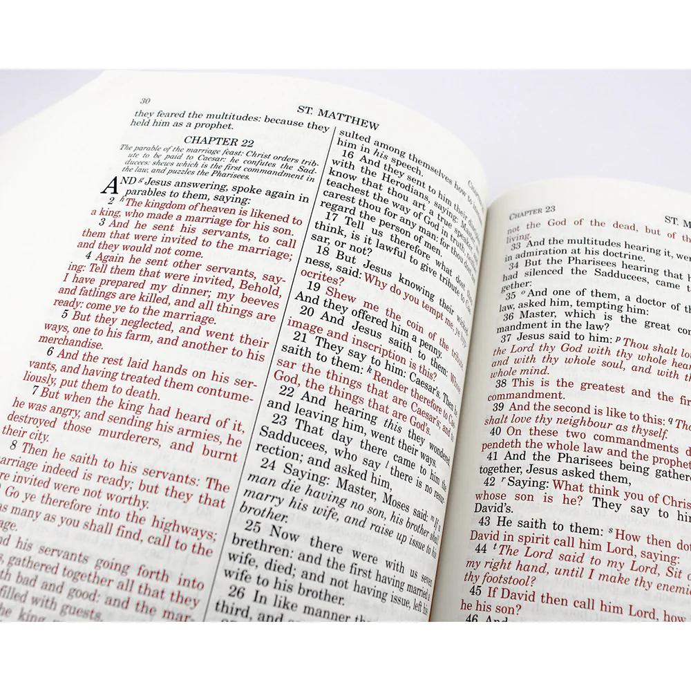 Douay Rheims Bible - Paperback - Image 3