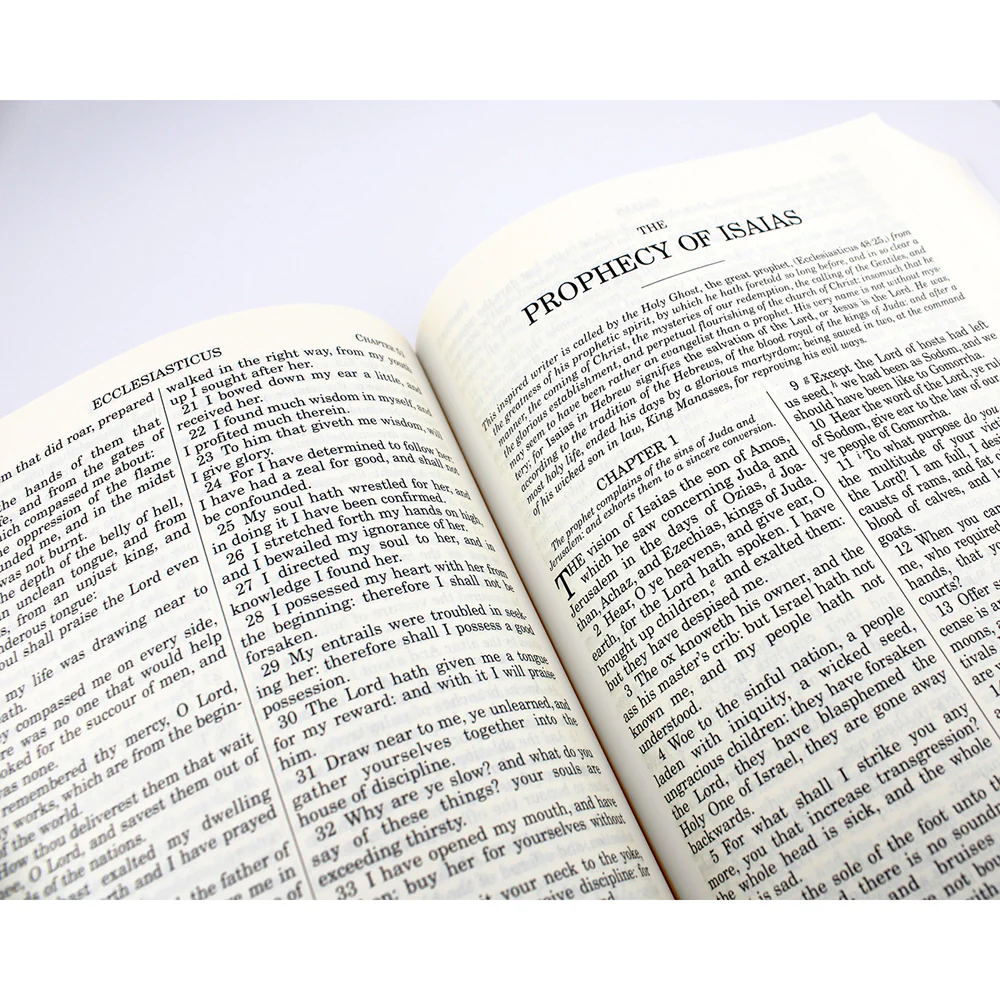 Douay Rheims Bible - Paperback - Image 4