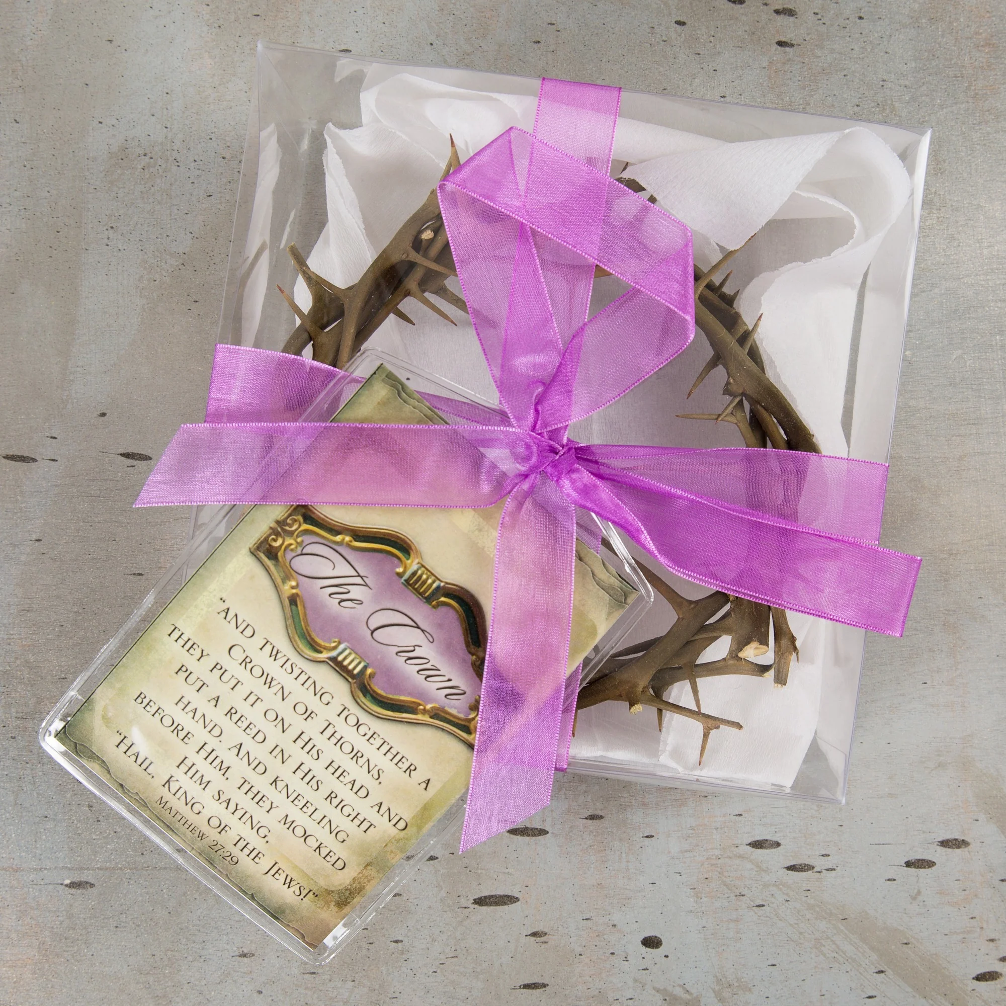 Gift Boxed Crown of Thorns 6" - Image 4