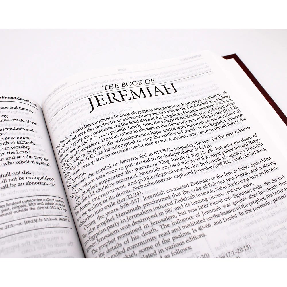 Hardcover Burgundy Bible- NABRE