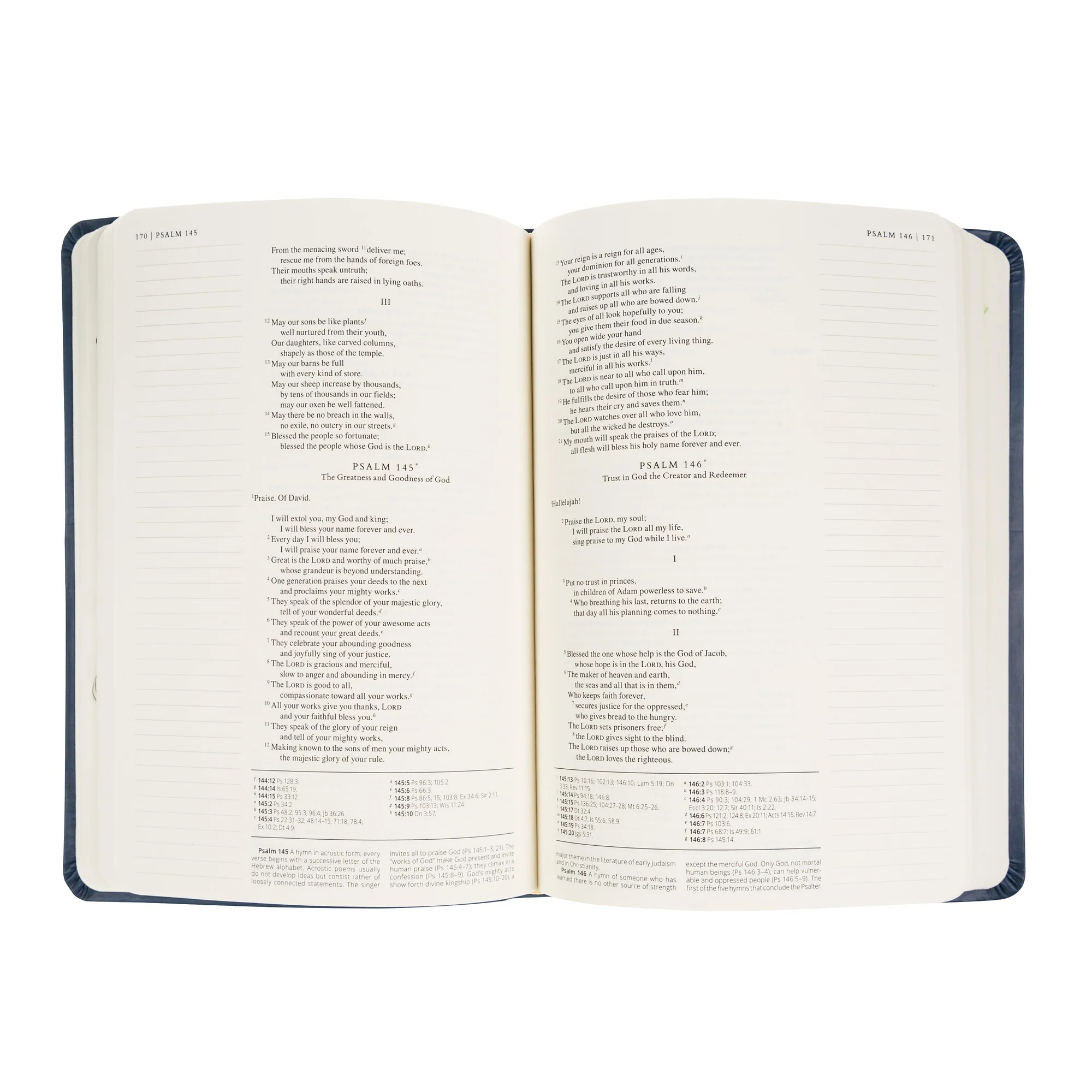 Journaling Through the Gospels & Psalms Bible (NABRE) - Navy - Image 2