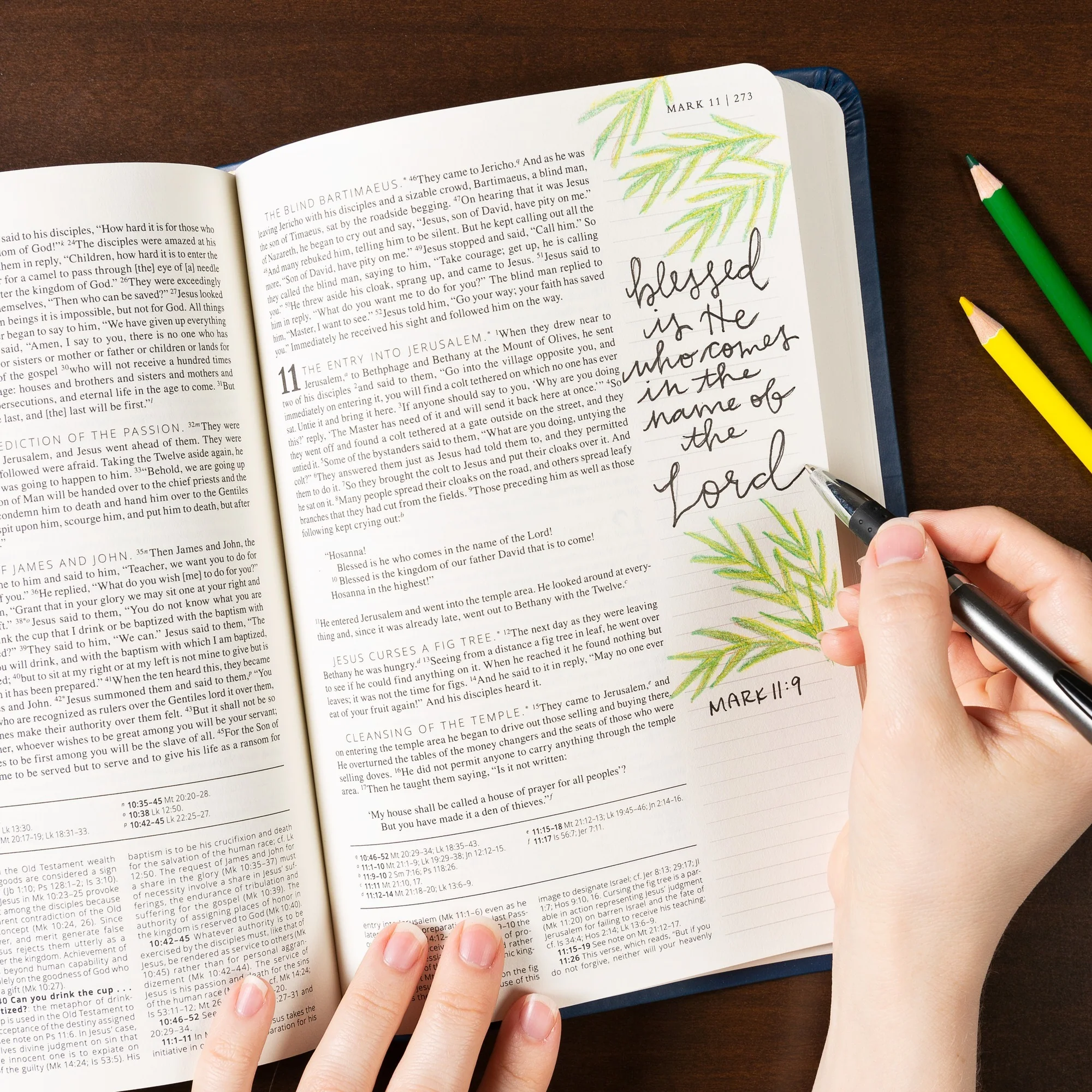 Journaling Through the Gospels & Psalms Bible (NABRE) - Navy - Image 4
