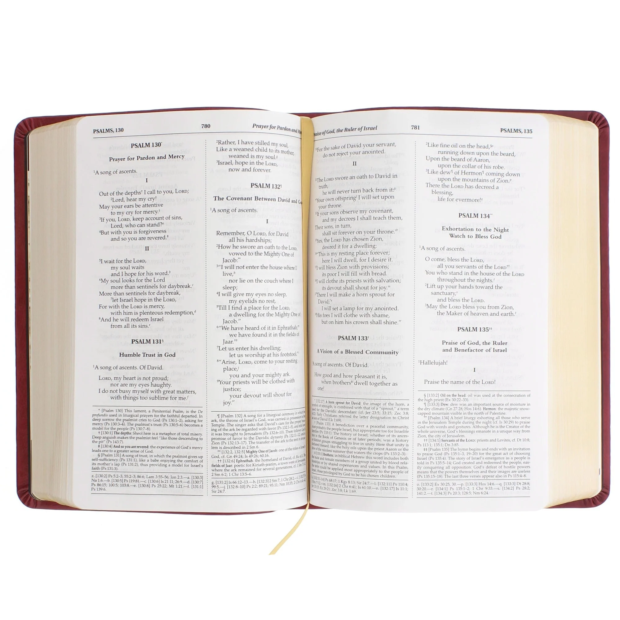 JPII Adventure Bible - Image 4