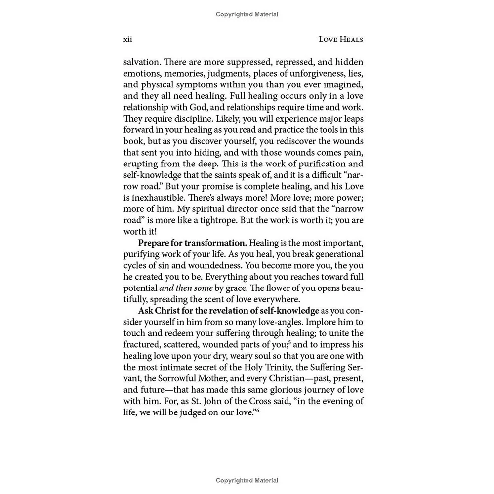 Love Heals: A Biblical Plan to Restore Our Emotions, Memories, Souls, and Bodies - Image 7
