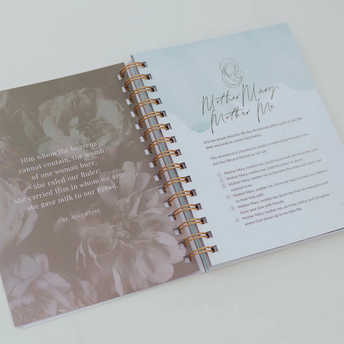 Mother Mary, Mother Me - Devotional Book & Journal - Image 2