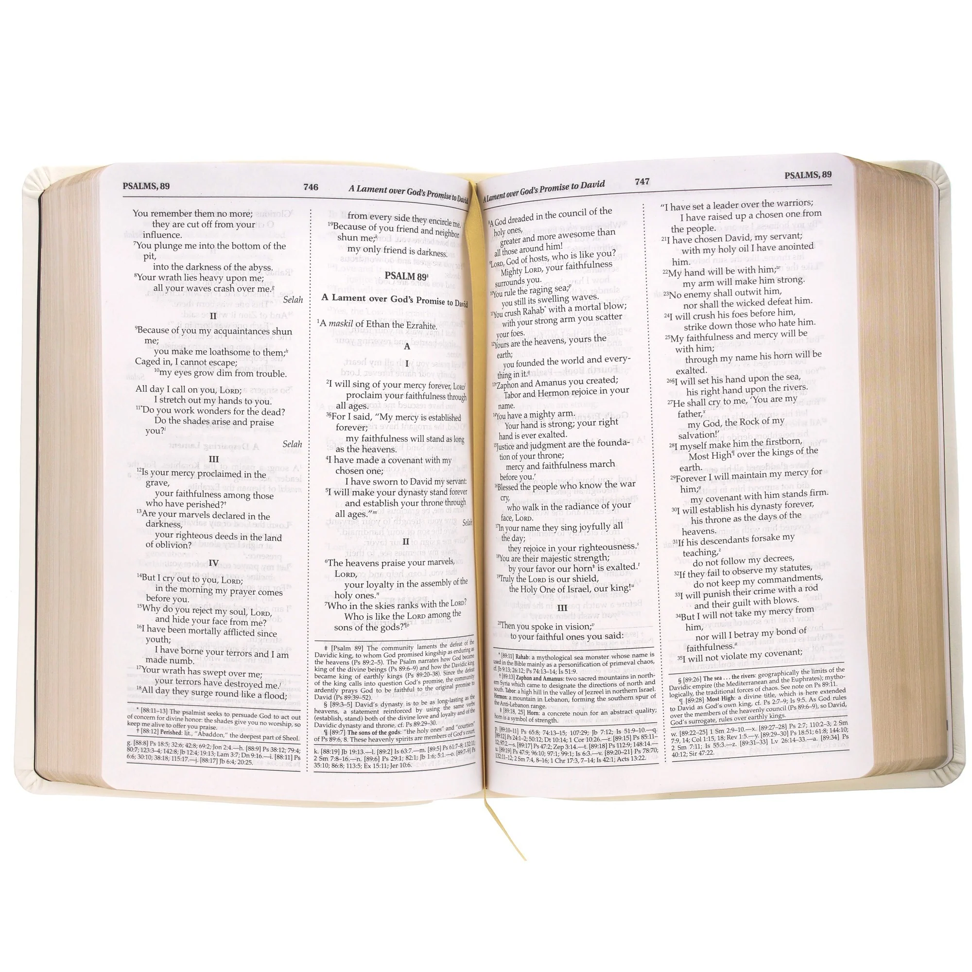 Personalized Chalice First Communion Bible - Image 4