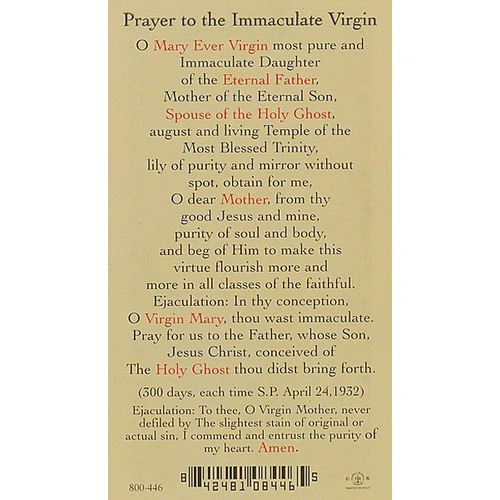 Prayer to Immaculate Virgin - Prayer Card