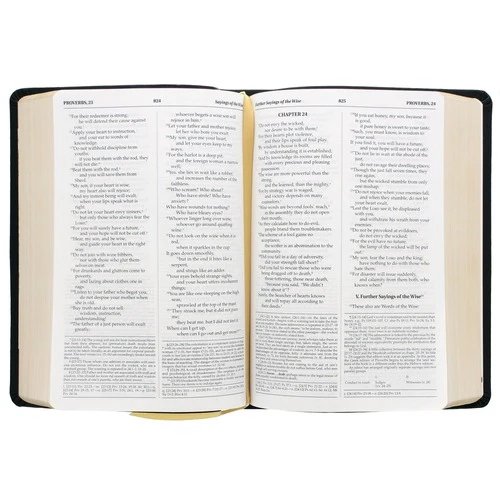 Saint Thomas More Bibles - Image 3