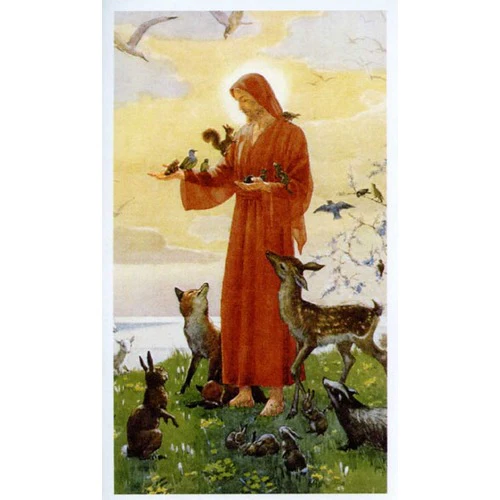 Laminated St. Francis Personalized Prayer Card (Priced Per Card)