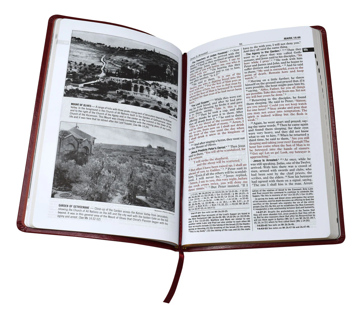 St. Joseph New Catholic Bible New Testament - Image 2