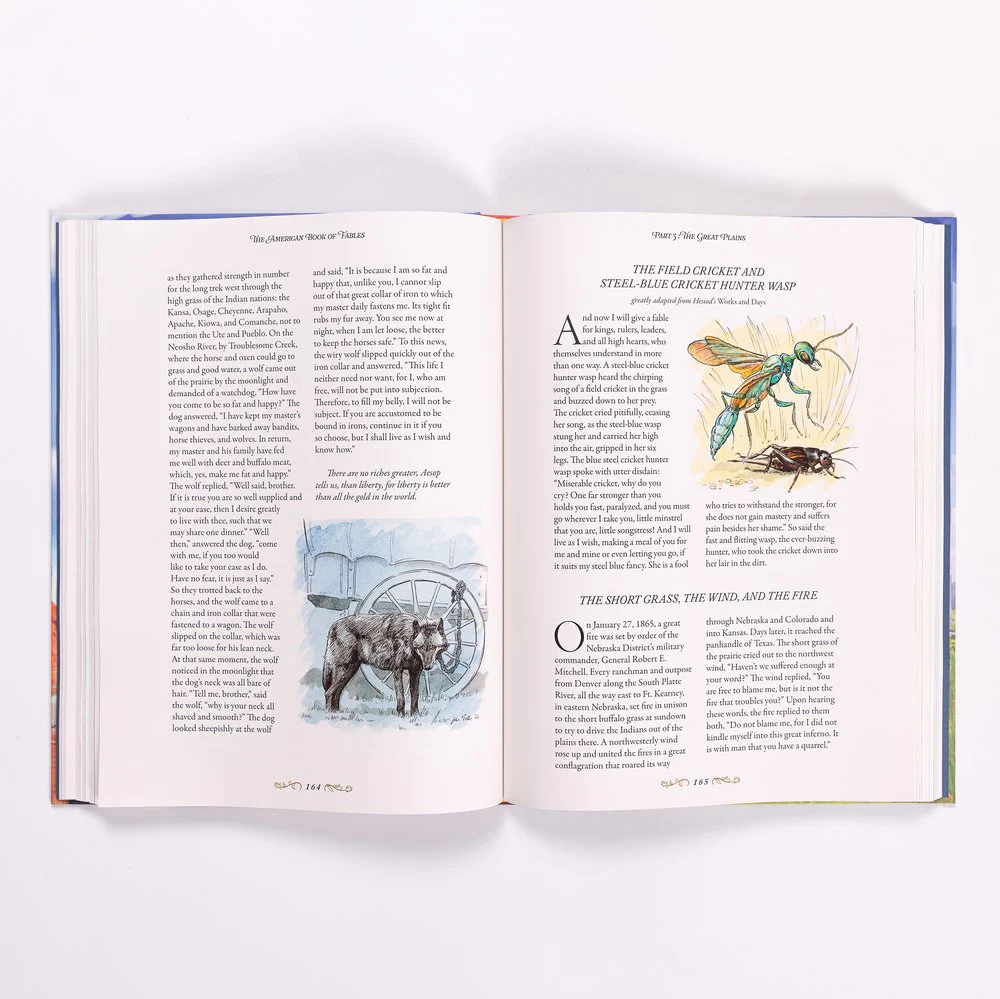 The American Book of Fables - Image 3