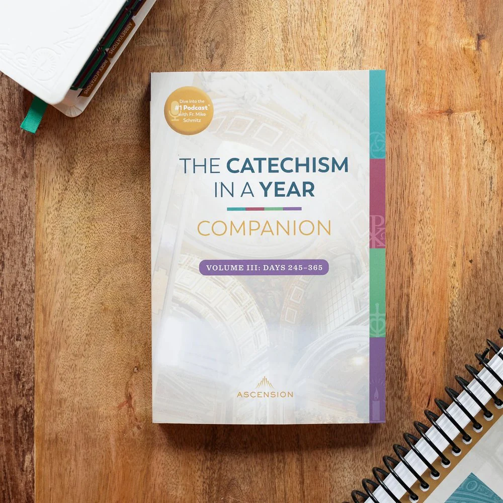 The Catechism in a Year Companion - Volume I, II, or III - Image 13