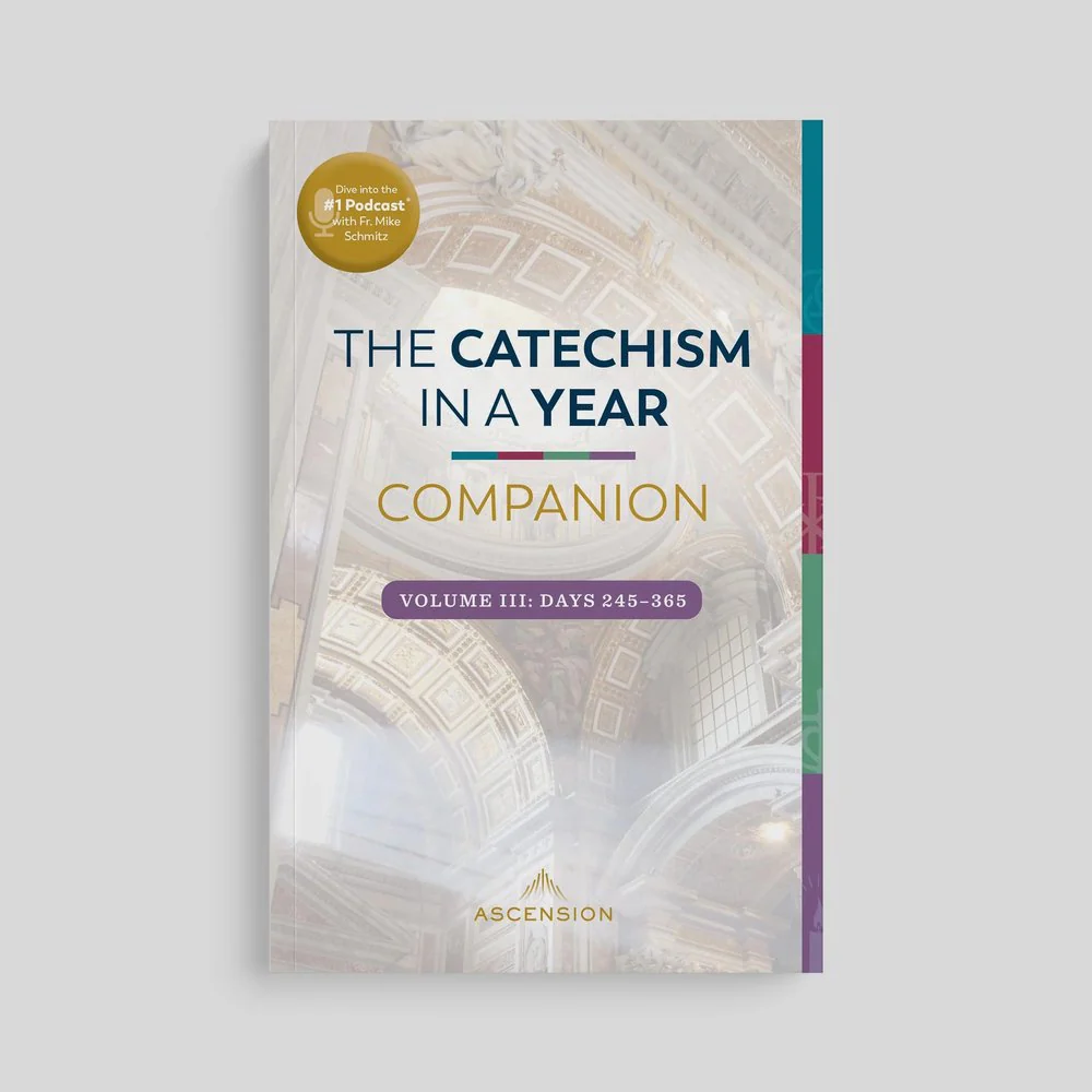 The Catechism in a Year Companion - Volume I, II, or III - Image 15