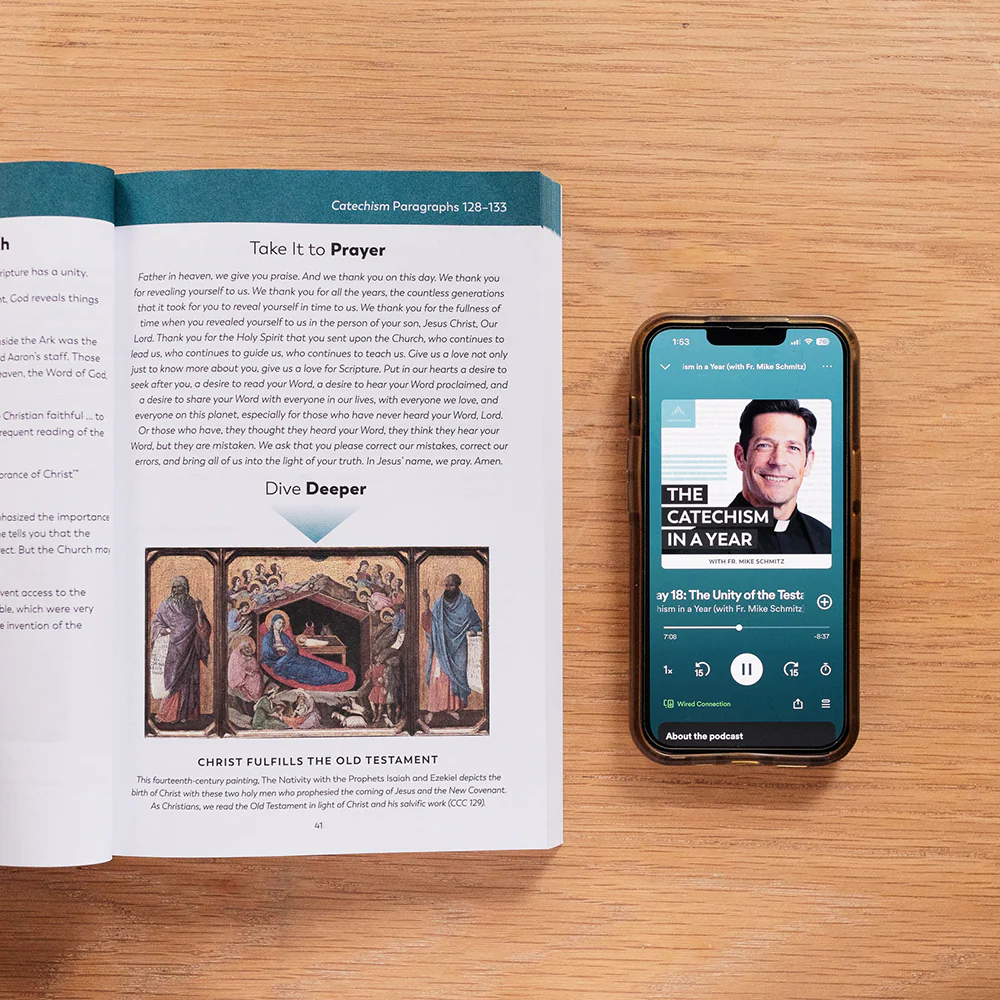 The Catechism in a Year Companion - Volume I, II, or III - Image 2