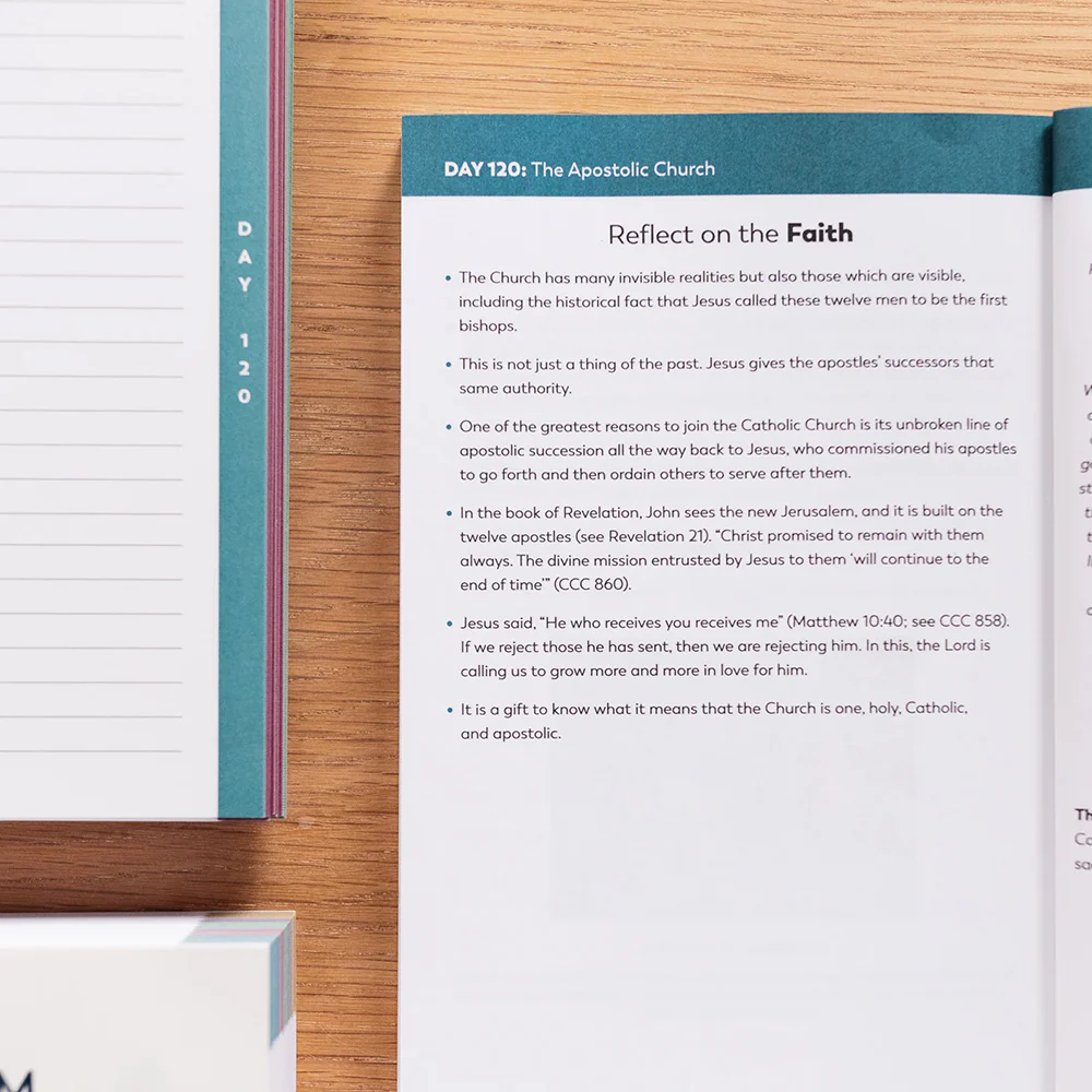 The Catechism in a Year Companion - Volume I, II, or III - Image 3