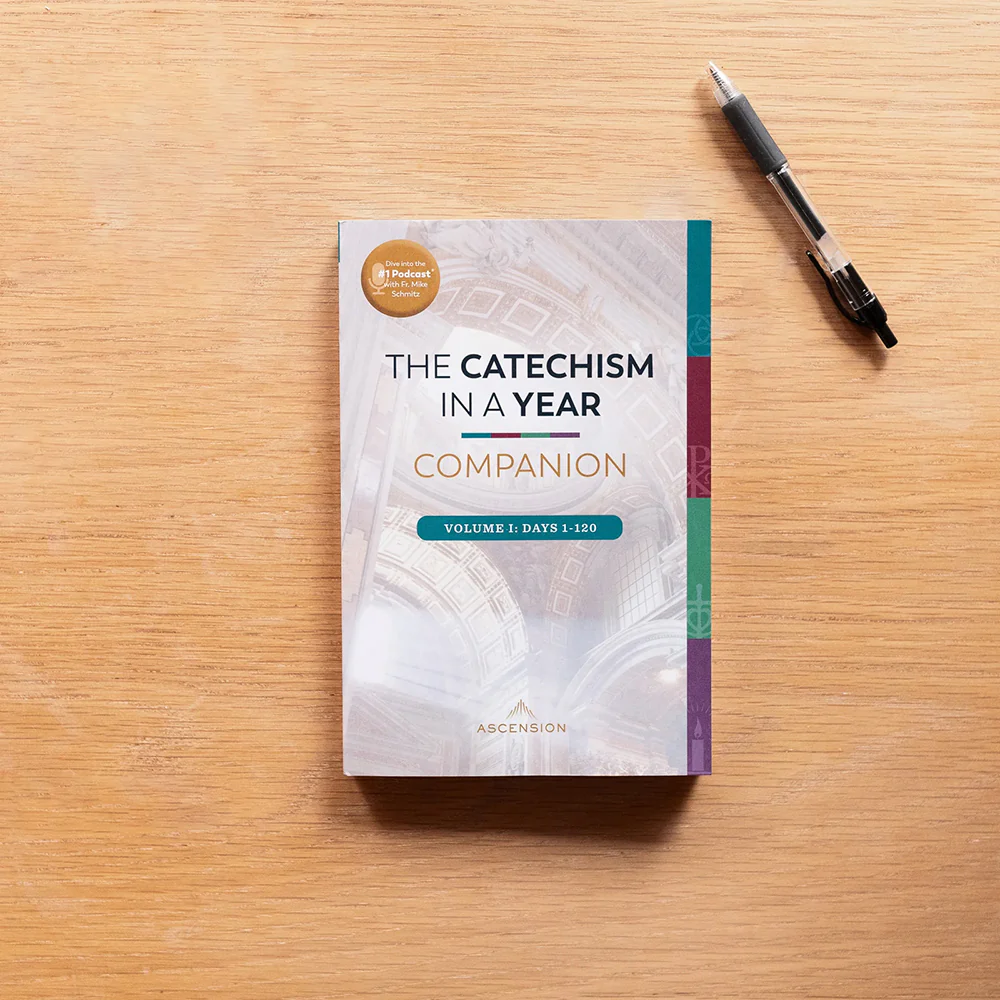 The Catechism in a Year Companion - Volume I, II, or III - Image 7