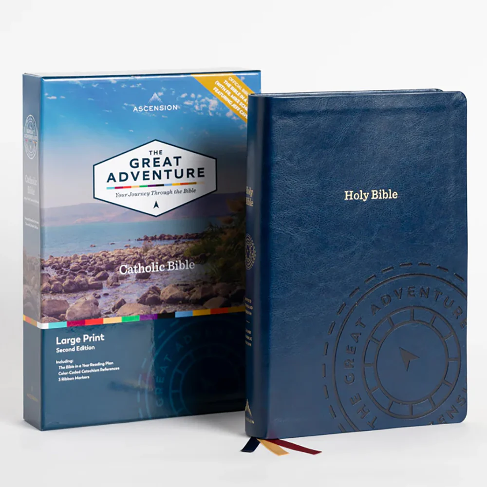 The Great Adventure Bible - Large Print Edition