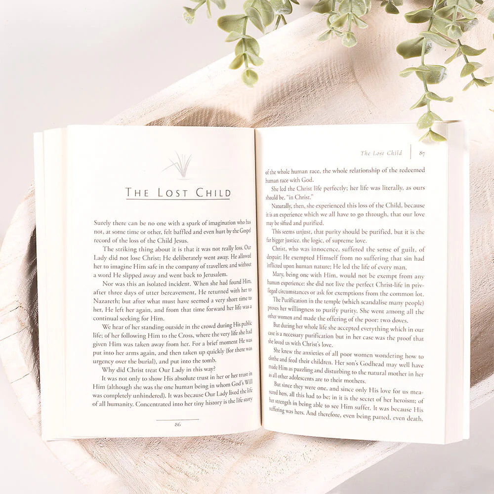 The Reed of God - Image 2