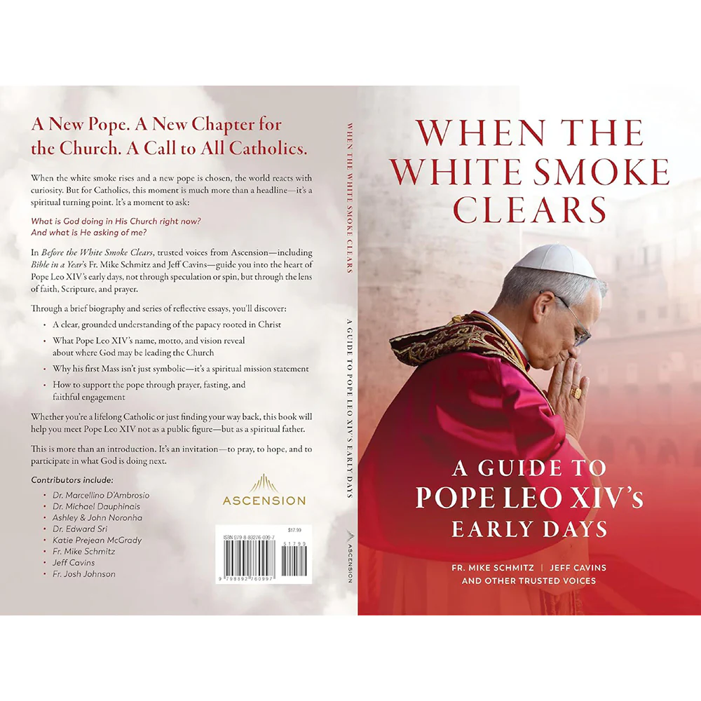 When the White Smoke Clears: A Guide to Pope Leo XIV's Early Days - Image 3