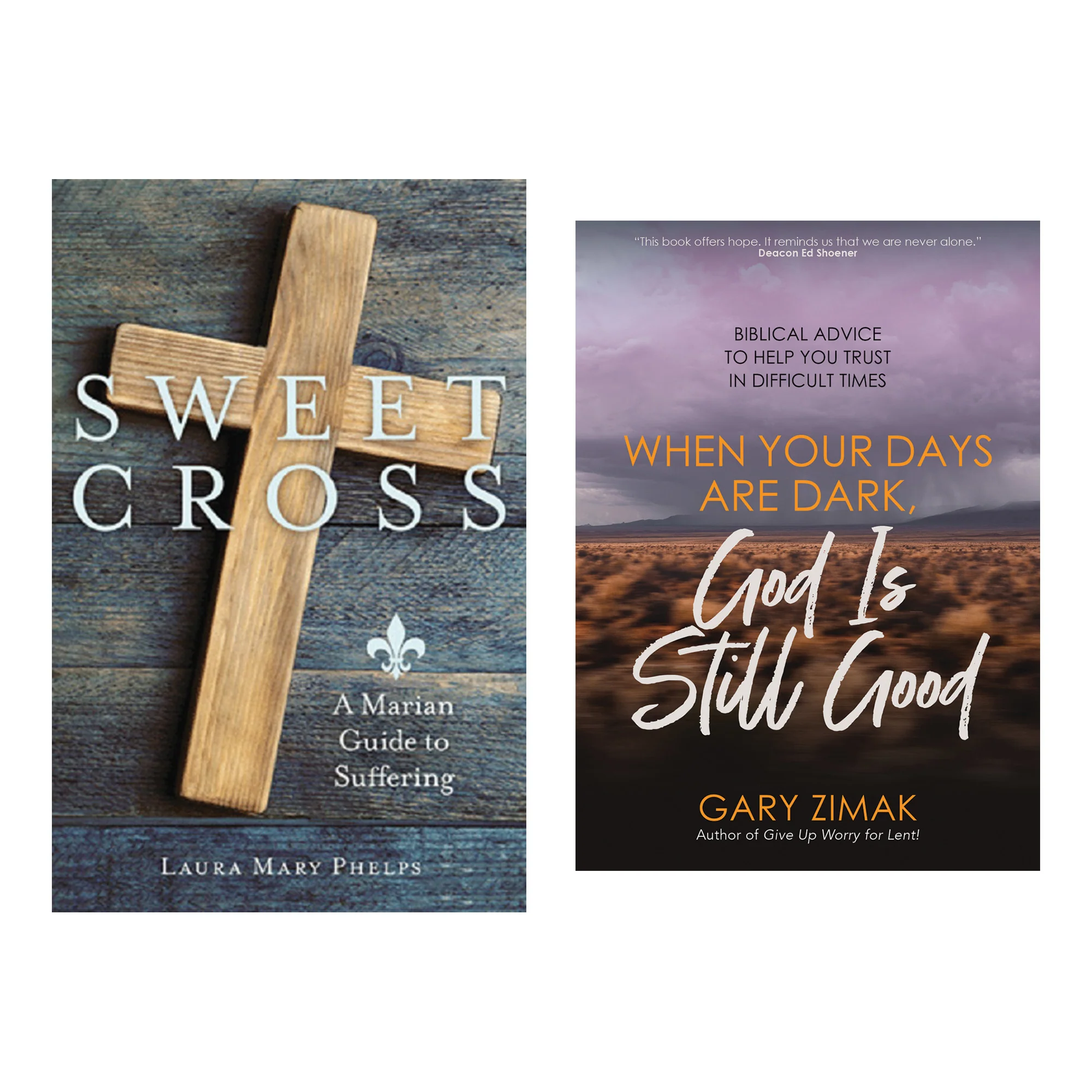 When Your Days are Dark, God is Still Good & Sweet Cross: A Marian Guide to Suffering (2 Book Set) - Image 2